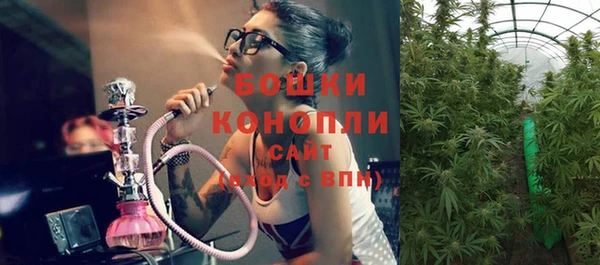 шишки Балабаново